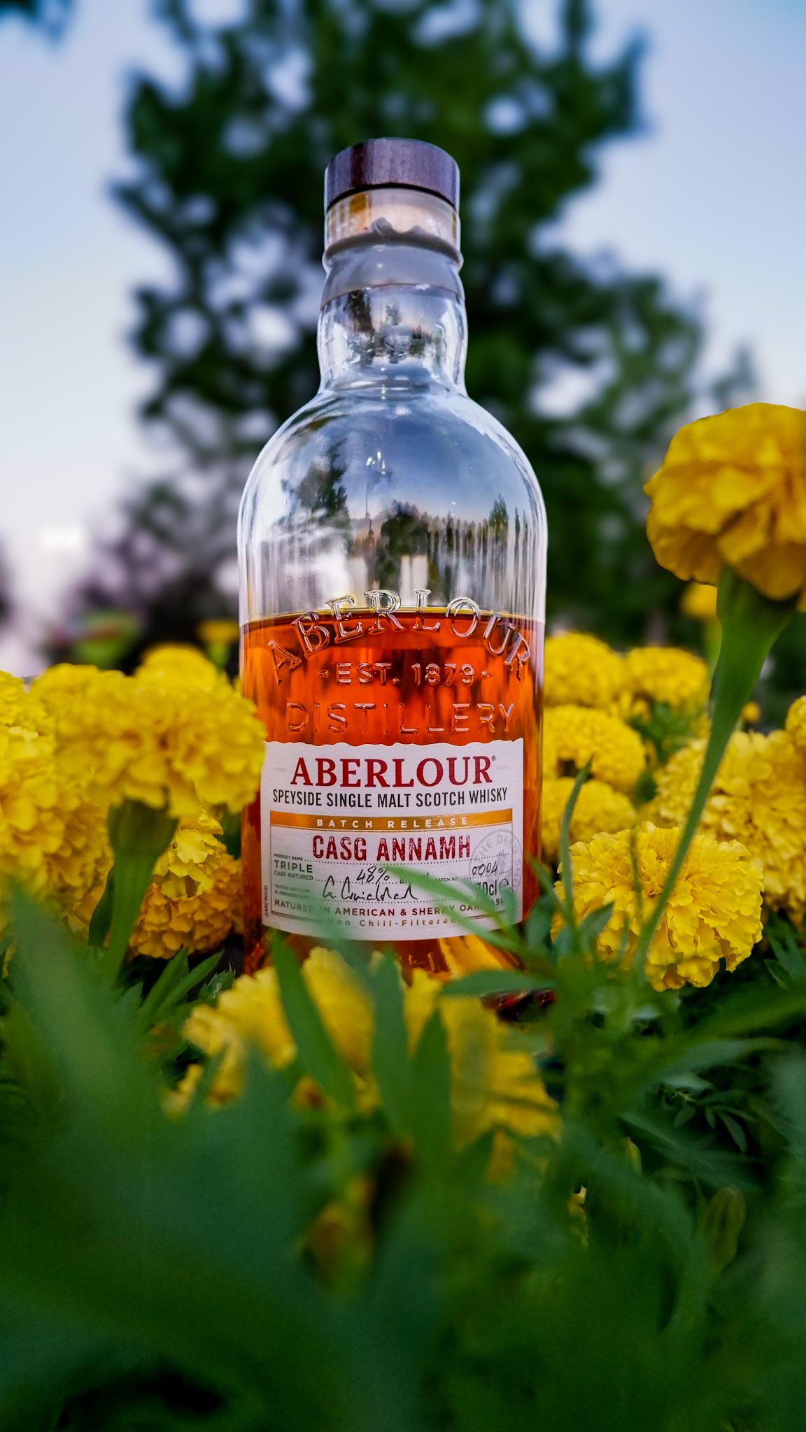   ABERLOUR CASG ANNAMH  