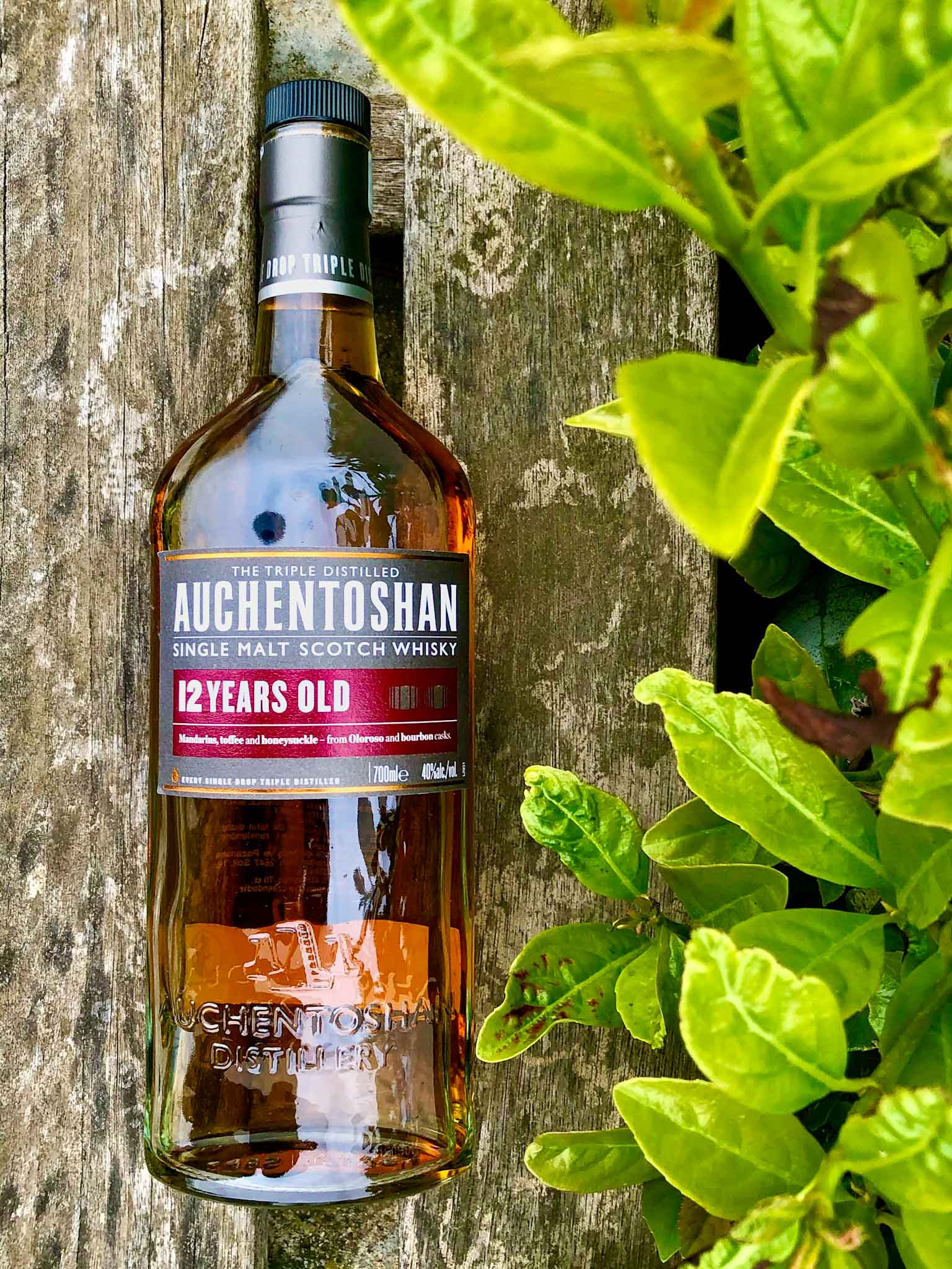 AUCHENTOSHAN 12