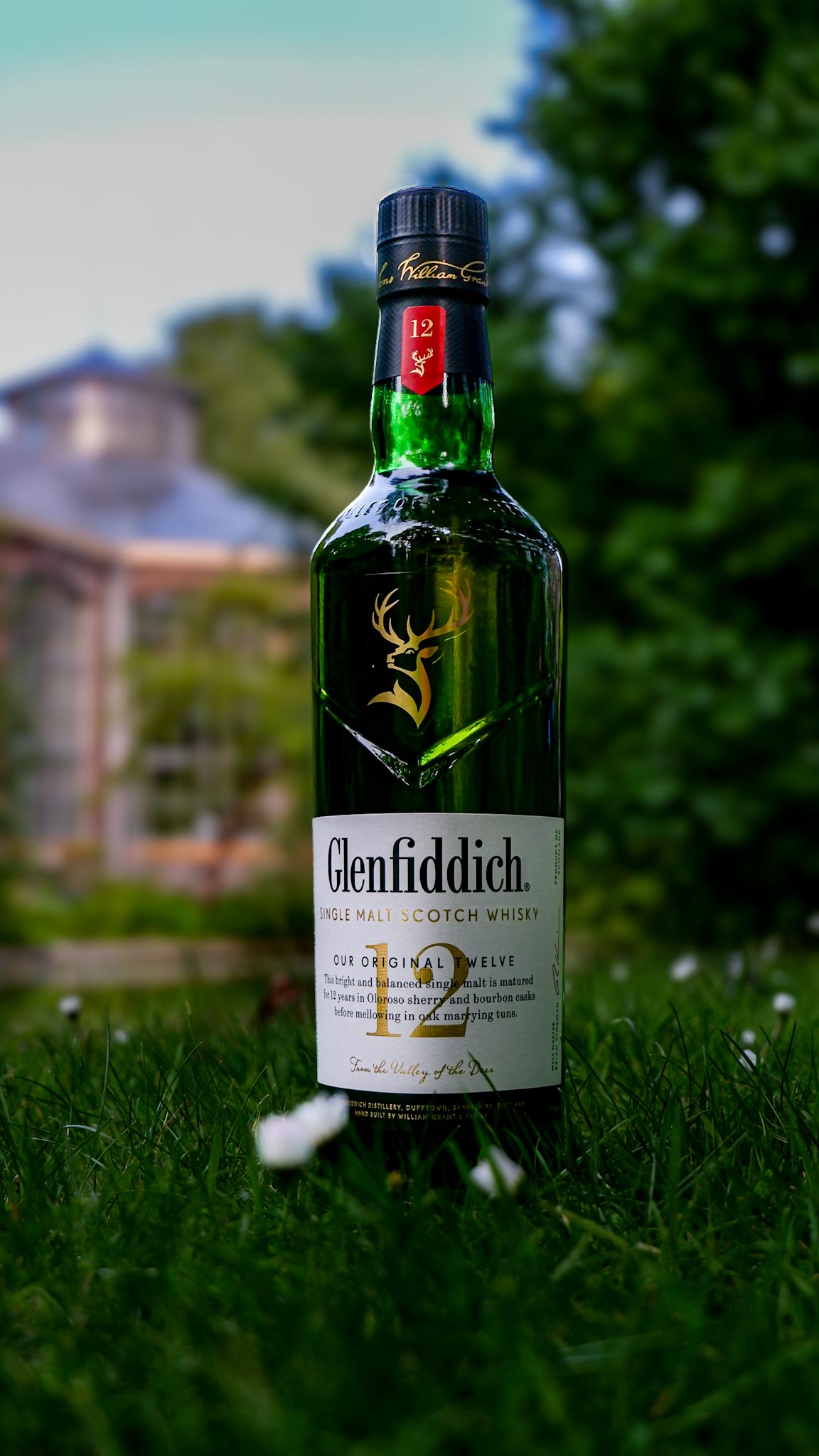  GLENFIDDICH 12 
