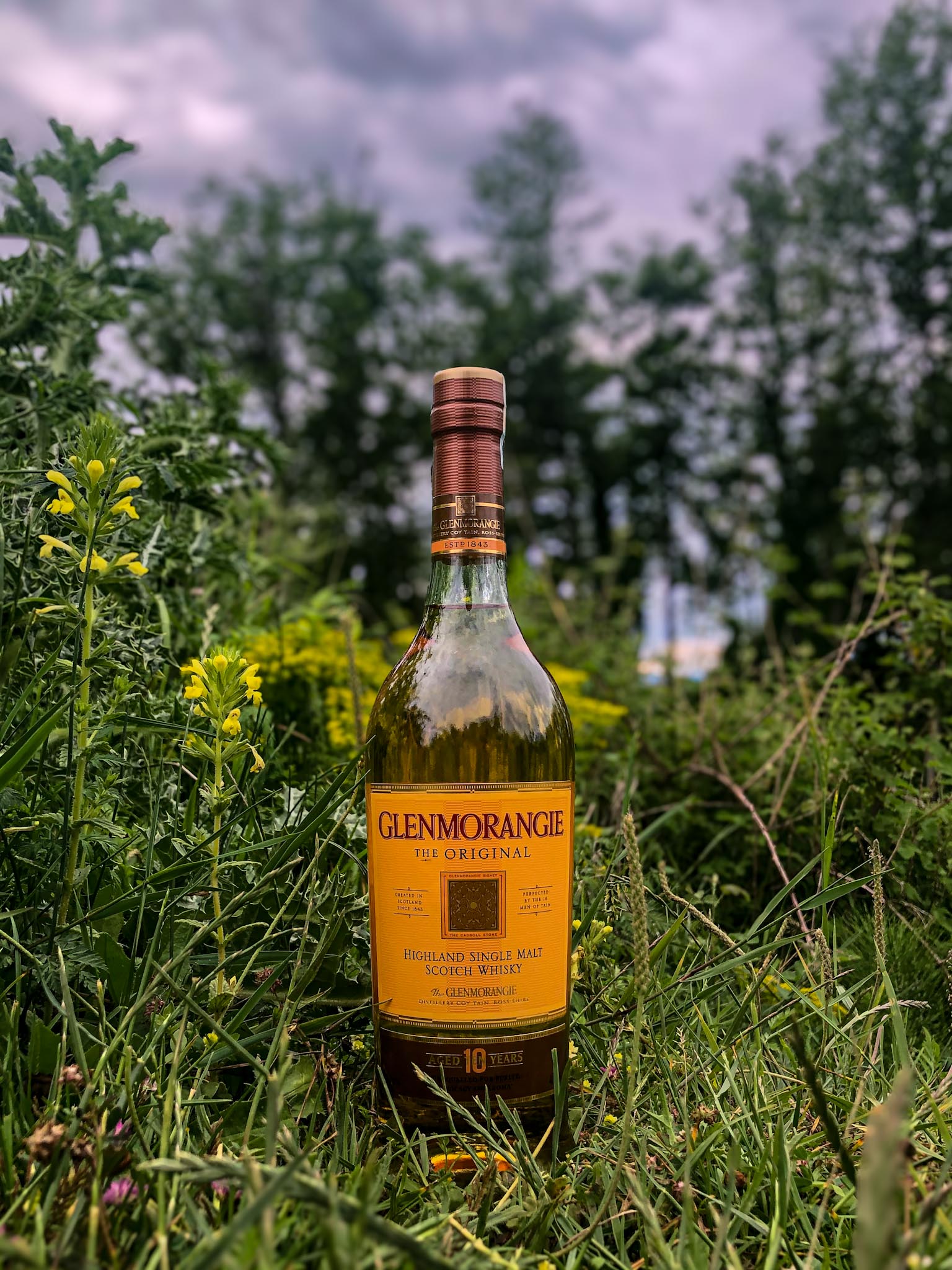   GLENMORANGIE 10 