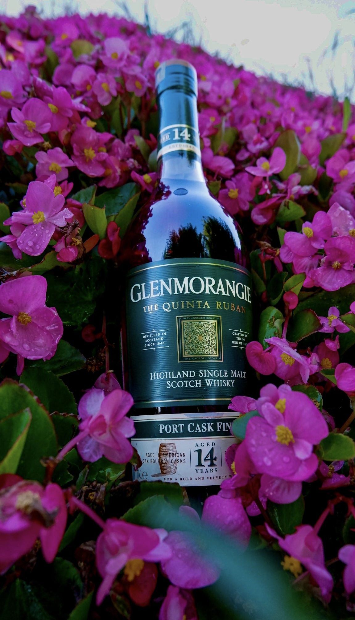   GLENMORANGIE QUINTA RUBAN 14  