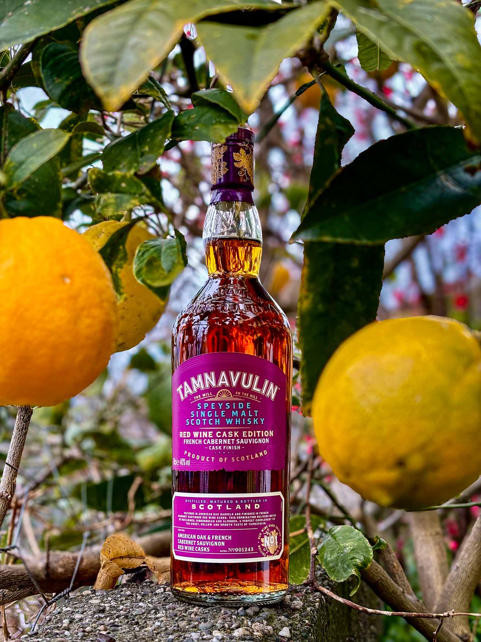  TAMNAVULIN FRENCH CABERNET SAUVIGNON 